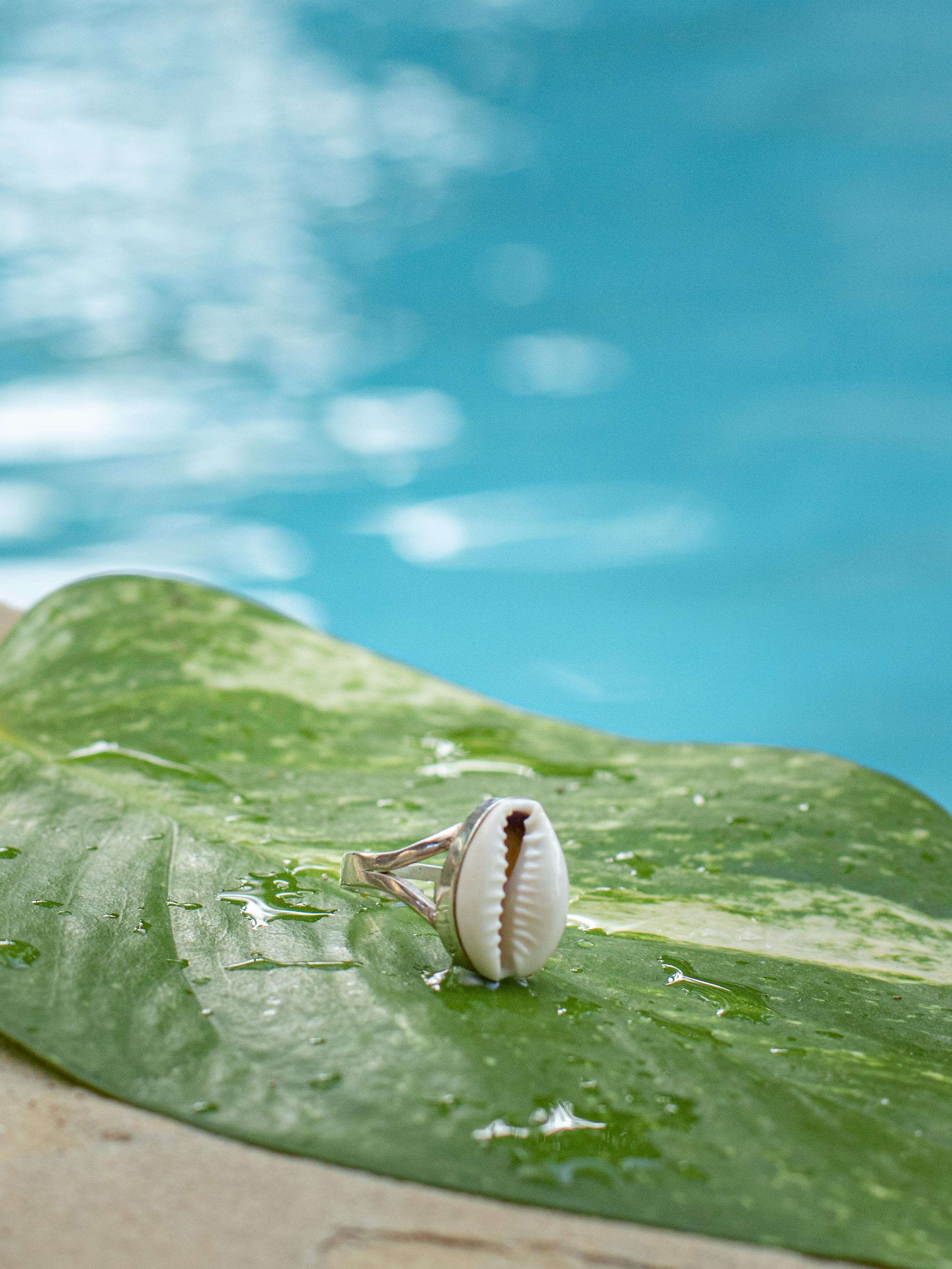 Cowrie shell ring