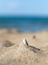 Cowrie shell ring